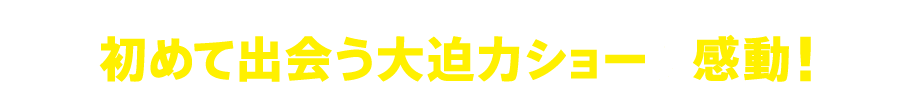 初めて出会う大迫力ショーに感動！